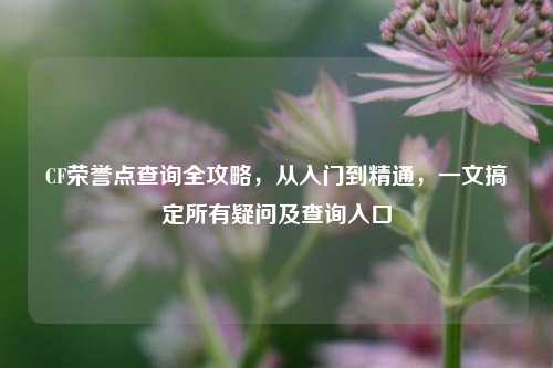 CF荣誉点查询全攻略,从入门到精通,一文搞定所有疑问及查询入口