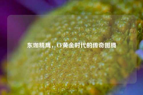 东珈精鹰,CF黄金时代的传奇图腾