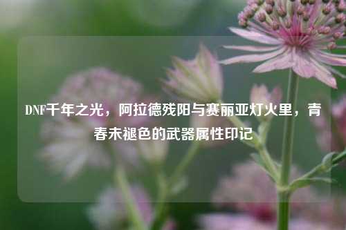 DNF千年之光，阿拉德残阳与赛丽亚灯火里，青春未褪色的武器属性印记