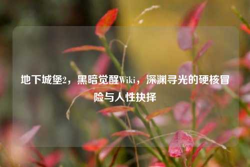 地下城堡2，黑暗觉醒Wiki，深渊寻光的硬核冒险与人性抉择
