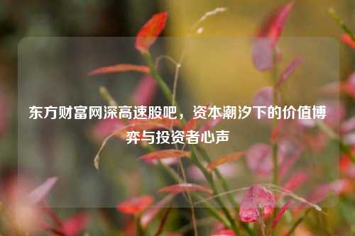 东方财富网深高速股吧,资本潮汐下的价值博弈与投资者心声