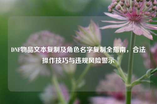 DNF物品文本复制及角色名字复制全指南，合法操作技巧与违规风险警示