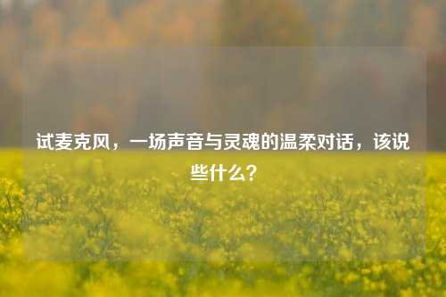 试麦克风,一场声音与灵魂的温柔对话,该说些什么?
