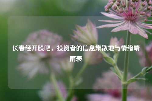 长春经开股吧,投资者的信息集散地与情绪晴雨表