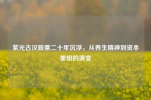 紫光古汉股票二十年沉浮,从养生精神到资本重组的演变