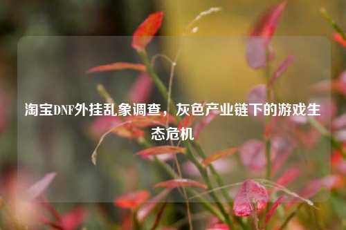  *** DNF外挂乱象调查，灰色产业链下的游戏生态危机