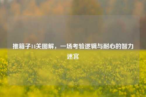 推箱子14关图解,一场考验逻辑与耐心的智力迷宫