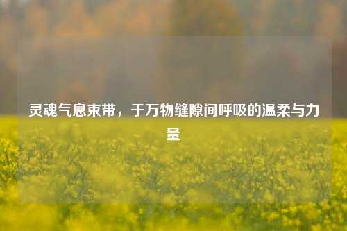 灵魂气息束带,于万物缝隙间呼吸的温柔与力量