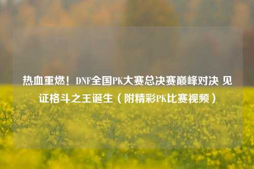 热血重燃!DNF全国PK大赛总决赛巅峰对决 见证格斗之王诞生(附精彩PK比赛视频)