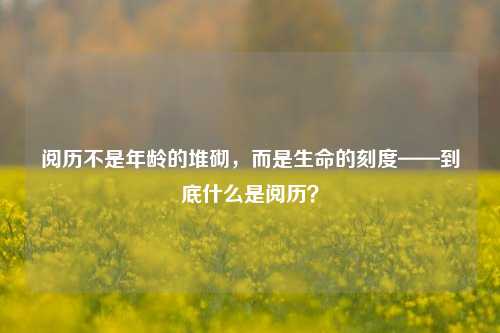 阅历不是年龄的堆砌,而是生命的刻度——到底什么是阅历?