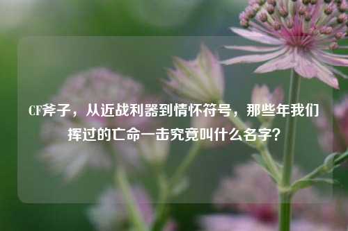 CF斧子，从近战利器到情怀符号，那些年我们挥过的亡命一击究竟叫什么名字？