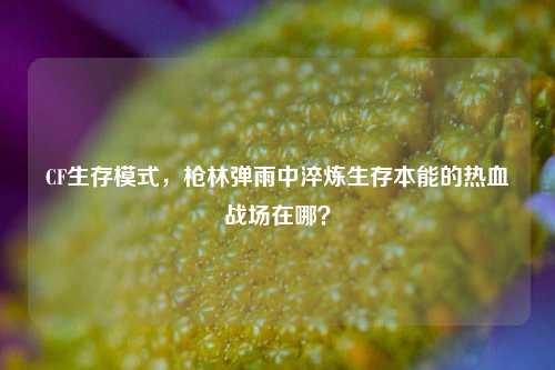 CF生存模式，枪林弹雨中淬炼生存本能的热血战场在哪？