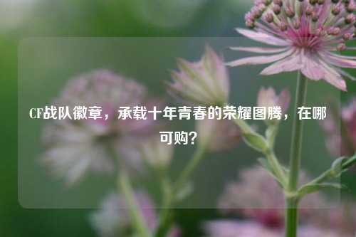 CF战队徽章,承载十年青春的荣耀图腾,在哪可购?