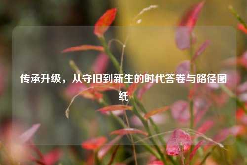 传承升级,从守旧到新生的时代答卷与路径图纸