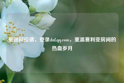 重返阿拉德,登录dnf.qq.com,重温赛利亚房间的热血岁月