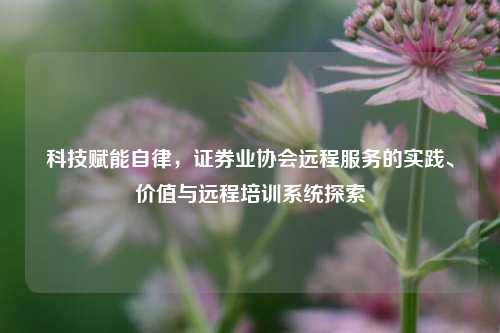 科技赋能自律,证券业协会远程服务的实践、价值与远程培训系统探索