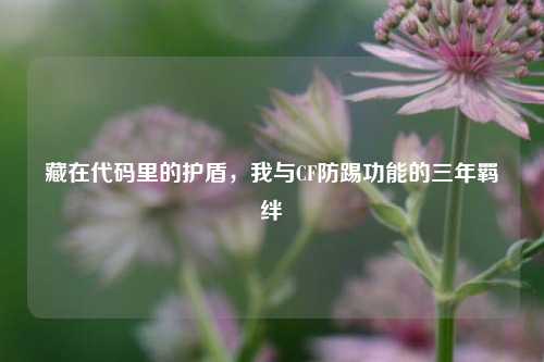 藏在代码里的护盾,我与CF防踢功能的三年羁绊