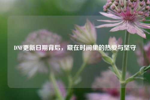 DNF更新日期背后,藏在时间里的热爱与坚守