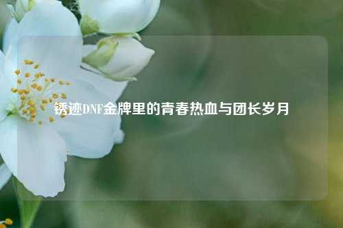 锈迹DNF金牌里的青春热血与团长岁月
