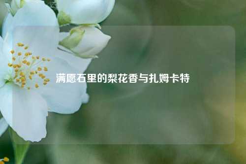 满愿石里的梨花香与扎姆卡特