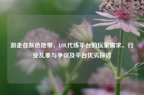 游走在灰色地带,LOL代练平台的玩家需求、行业乱象与争议及平台优劣探讨