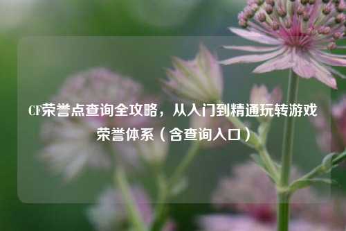 CF荣誉点查询全攻略,从入门到精通玩转游戏荣誉体系(含查询入口)