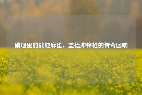 硝烟里的战地麻雀,盖德冲锋枪的传奇回响