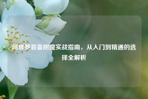阿修罗装备附魔实战指南，从入门到精通的选择全解析