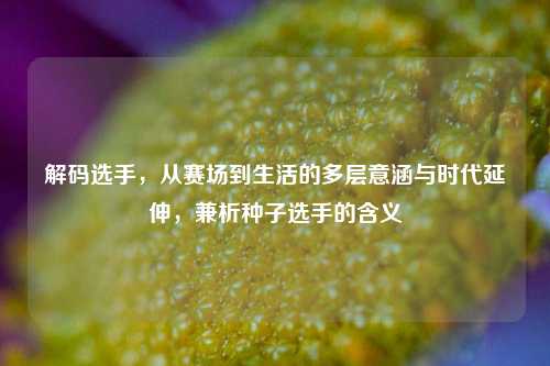 解码选手,从赛场到生活的多层意涵与时代延伸,兼析种子选手的含义