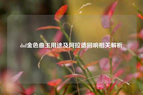 dnf金色曲玉用途及阿拉德回响相关解析