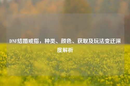 DNF结婚戒指,种类、颜色、获取及玩法变迁深度解析
