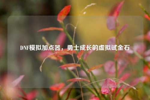 DNF模拟加点器,勇士成长的虚拟试金石