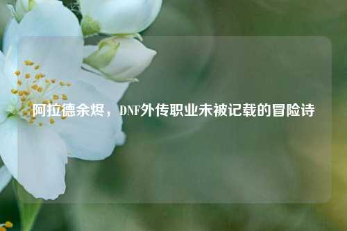 阿拉德余烬,DNF外传职业未被记载的冒险诗