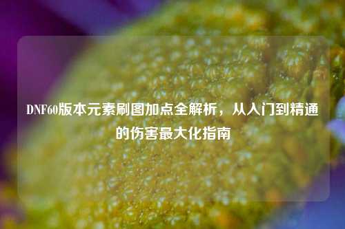 DNF60版本元素刷图加点全解析,从入门到精通的伤害更大化指南