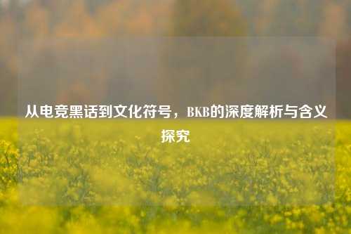 从电竞黑话到文化符号,BKB的深度解析与含义探究