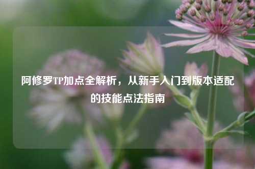 阿修罗TP加点全解析,从新手入门到版本适配的技能点法指南