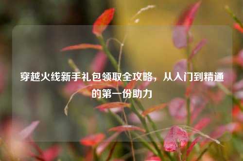 穿越火线新手礼包领取全攻略,从入门到精通的之一份助力