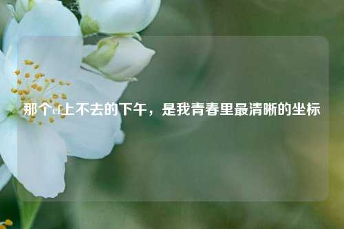 那个cf上不去的下午,是我青春里最清晰的坐标