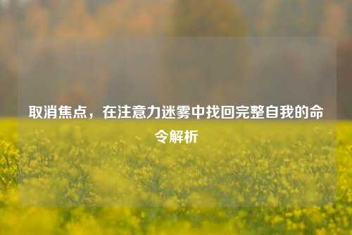 取消焦点,在注意力迷雾中找回完整自我的命令解析