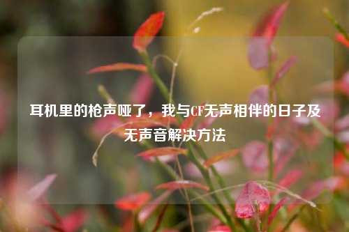 耳机里的枪声哑了,我与CF无声相伴的日子及无声音解决 ***