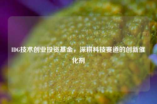 IDG技术创业投资基金,深耕科技赛道的创新催化剂