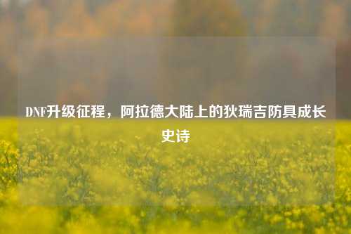 DNF升级征程,阿拉德大陆上的狄瑞吉防具成长史诗