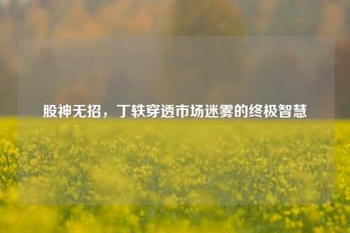 股神无招,丁轶穿透市场迷雾的终极智慧