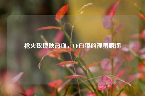 枪火玫瑰映热血,CF白狼的孤勇瞬间