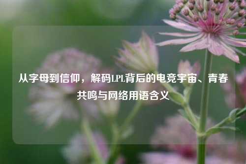 从字母到信仰,解码LPL背后的电竞宇宙、青春共鸣与 *** 用语含义