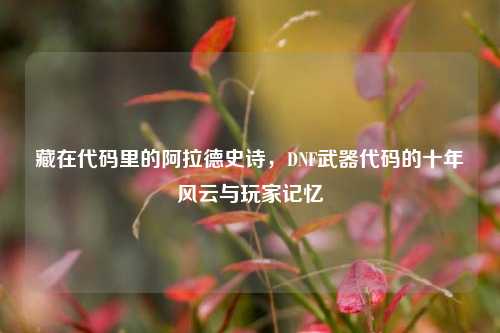 藏在代码里的阿拉德史诗，DNF武器代码的十年风云与玩家记忆