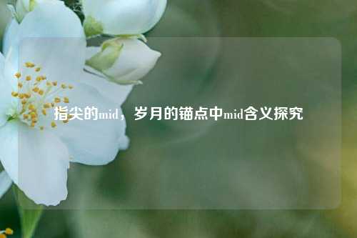 指尖的mid,岁月的锚点中mid含义探究