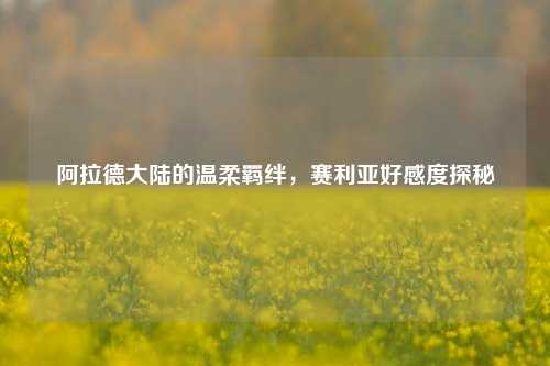 阿拉德大陆的温柔羁绊,赛利亚好感度探秘