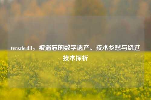 tersafe.dll,被遗忘的数字遗产、技术乡愁与绕过技术探析