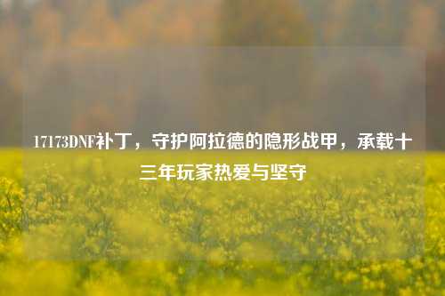 17173DNF补丁,守护阿拉德的隐形战甲,承载十三年玩家热爱与坚守